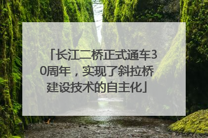 长江二桥正式通车30周年，实现了斜拉桥建设技术的自主化