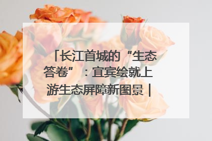 长江首城的“生态答卷”：宜宾绘就上游生态屏障新图景｜中华环保世纪行