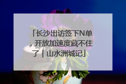 长沙出访签下N单，开放加速度藏不住了｜山水洲城记