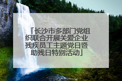 长沙市多部门党组织联合开展关爱企业残疾员工主题党日暨助残日特别活动