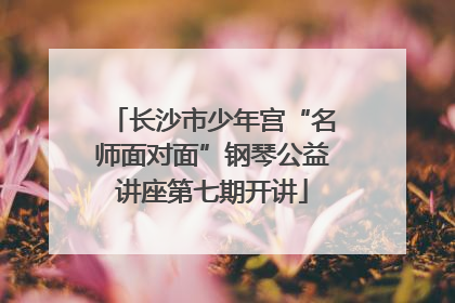 长沙市少年宫“名师面对面”钢琴公益讲座第七期开讲