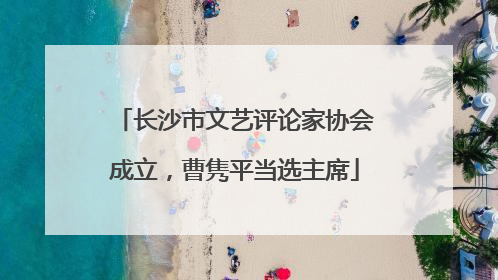 长沙市文艺评论家协会成立，曹隽平当选主席