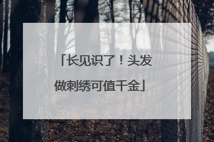 长见识了！头发做刺绣可值千金