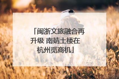 闽浙文旅融合再升级 南靖土楼在杭州觅商机