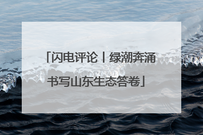 闪电评论丨绿潮奔涌 书写山东生态答卷