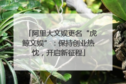 阿里大文娱更名“虎鲸文娱”：保持创业热忱，开启新征程