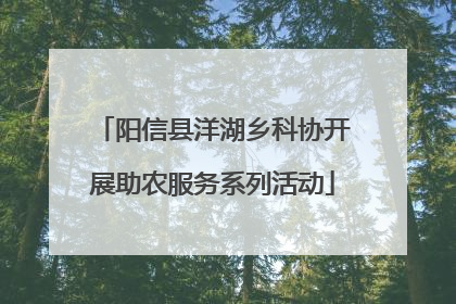 阳信县洋湖乡科协开展助农服务系列活动