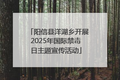 阳信县洋湖乡开展2025年国际禁毒日主题宣传活动