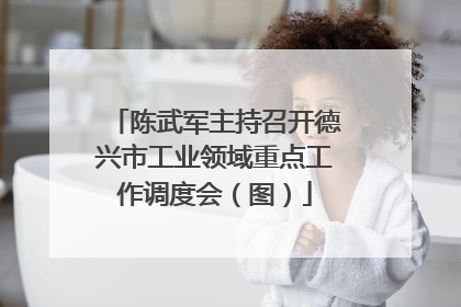 陈武军主持召开德兴市工业领域重点工作调度会（图）