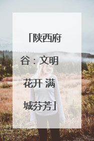 陕西府谷：文明花开 满城芬芳