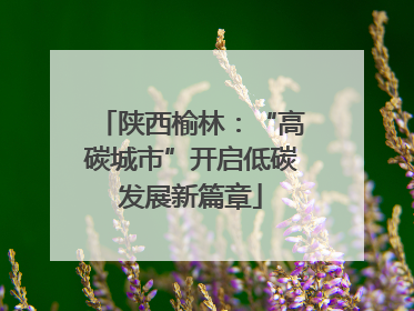 陕西榆林：“高碳城市”开启低碳发展新篇章