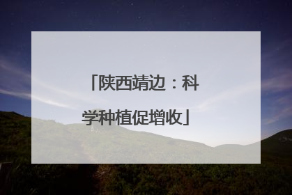 陕西靖边：科学种植促增收