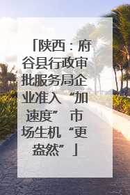 陕西：府谷县行政审批服务局企业准入“加速度” 市场生机“更盎然”