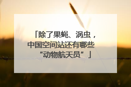 除了果蝇、涡虫，中国空间站还有哪些“动物航天员”