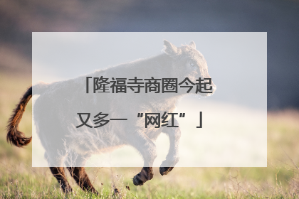 隆福寺商圈今起又多一“网红”