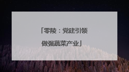 零陵：党建引领 做强蔬菜产业