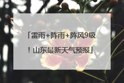 雷雨+阵雨+阵风9级！山东最新天气预报