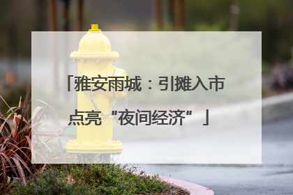 雅安雨城：引摊入市 点亮“夜间经济”
