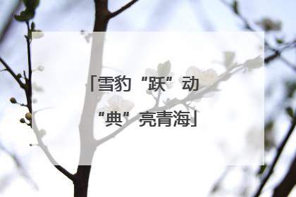 雪豹“跃”动 “典”亮青海