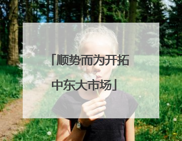 顺势而为开拓中东大市场