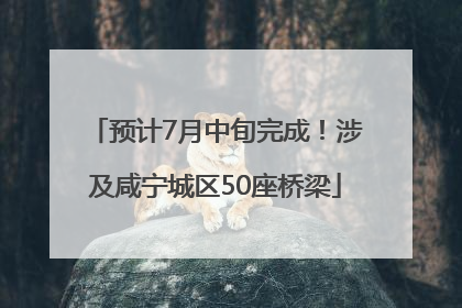预计7月中旬完成！涉及咸宁城区50座桥梁