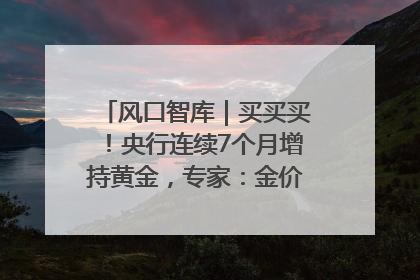 风口智库｜买买买！央行连续7个月增持黄金，专家：金价或仍易涨难跌