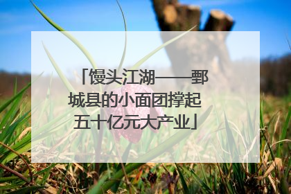 馒头江湖——鄄城县的小面团撑起五十亿元大产业