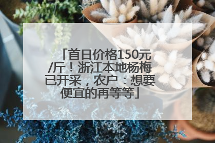 首日价格150元/斤！浙江本地杨梅已开采，农户：想要便宜的再等等