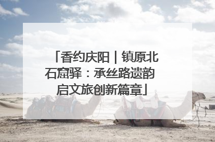 香约庆阳｜镇原北石窟驿：承丝路遗韵 启文旅创新篇章