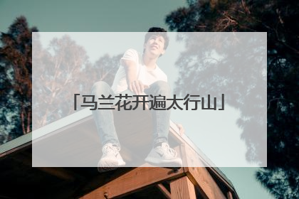 马兰花开遍太行山