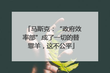 马斯克：“政府效率部”成了一切的替罪羊，这不公平