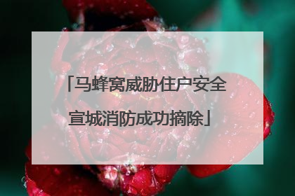 马蜂窝威胁住户安全 宣城消防成功摘除