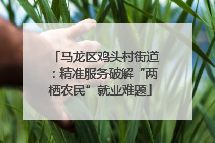马龙区鸡头村街道：精准服务破解“两栖农民”就业难题