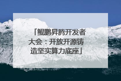 鲲鹏昇腾开发者大会：开放开源铸造坚实算力底座