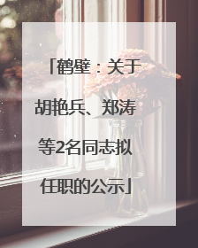 鹤壁：关于胡艳兵、郑涛等2名同志拟任职的公示