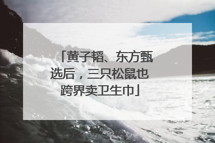 黄子韬、东方甄选后，三只松鼠也跨界卖卫生巾