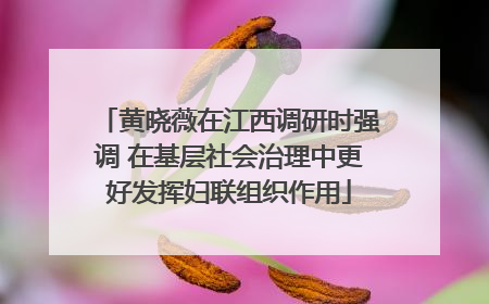 黄晓薇在江西调研时强调 在基层社会治理中更好发挥妇联组织作用
