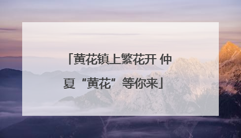 黄花镇上繁花开 仲夏“黄花”等你来