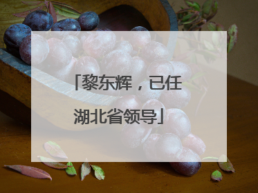 黎东辉，已任湖北省领导