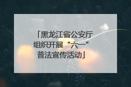黑龙江省公安厅组织开展“六一”普法宣传活动