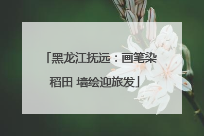 黑龙江抚远：画笔染稻田 墙绘迎旅发
