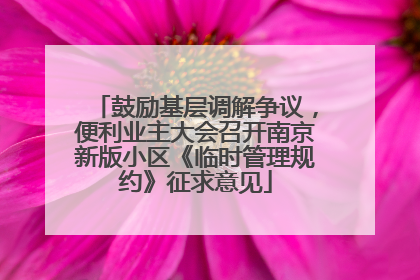 鼓励基层调解争议，便利业主大会召开南京新版小区《临时管理规约》征求意见