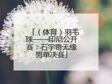 （体育）羽毛球——印尼公开赛：石宇奇无缘男单决赛