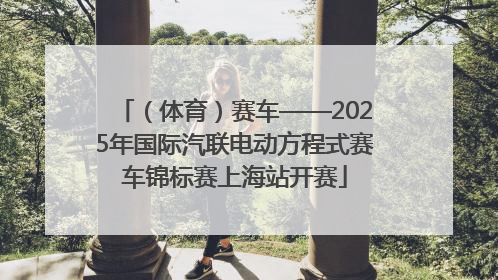 （体育）赛车——2025年国际汽联电动方程式赛车锦标赛上海站开赛