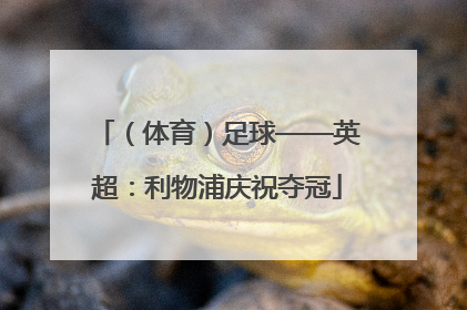 （体育）足球——英超：利物浦庆祝夺冠