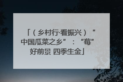 （乡村行·看振兴）“中国瓜菜之乡”：“莓”好前景 四季生金