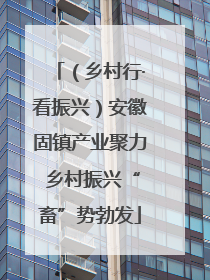 （乡村行·看振兴）安徽固镇产业聚力 乡村振兴“畜”势勃发