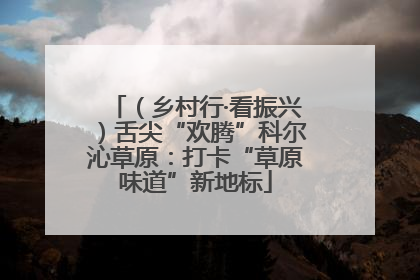 （乡村行·看振兴）舌尖“欢腾”科尔沁草原：打卡“草原味道”新地标