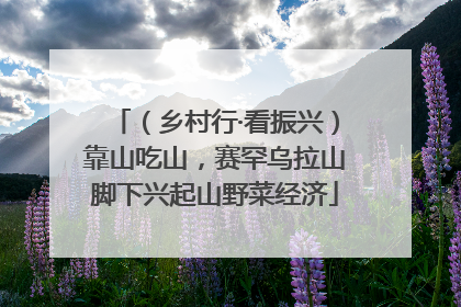 （乡村行·看振兴）靠山吃山，赛罕乌拉山脚下兴起山野菜经济