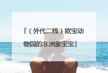 （外代二线）欧宝动物园的非洲象宝宝